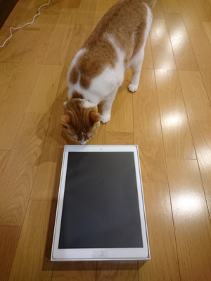 iPad-PRO-12.9-docomo-1.jpg