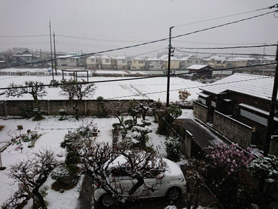 spring-snow-20180321.jpg